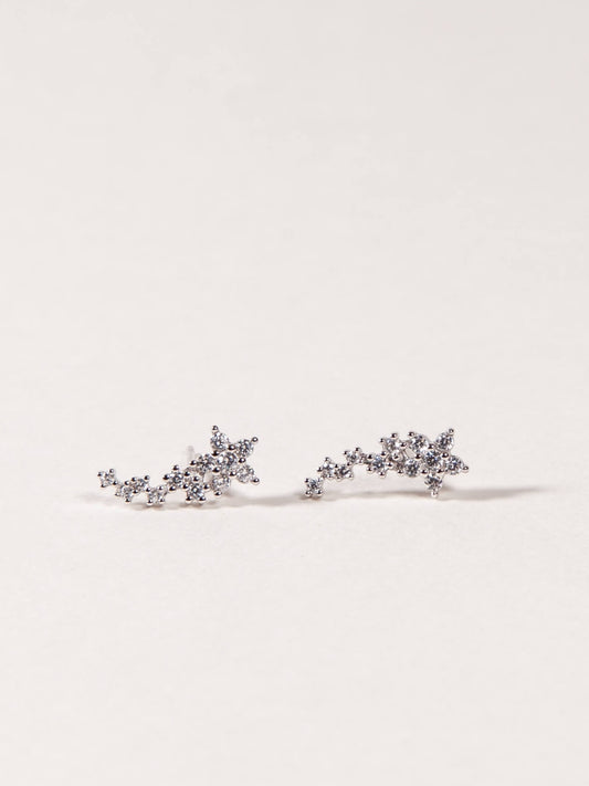 Flowers Studs Ear Climber